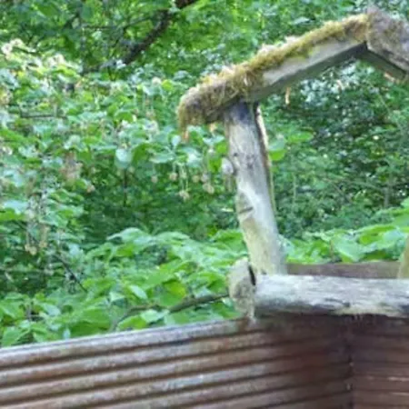Durbuy72, Het Kleine Huis In Het Bos.