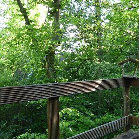 Durbuy72, Het Kleine Huis In Het Bos.