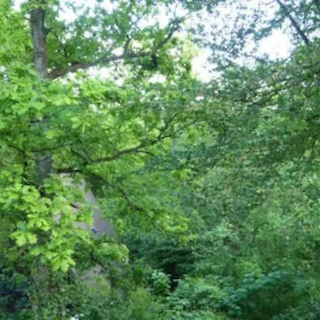 Durbuy72, Het Kleine Huis In Het Bos. * Durbuy