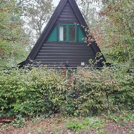 Durbuy72, Het Kleine Huis In Het Bos. Durbuy